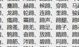 蹄的组词（蹄的组词组）