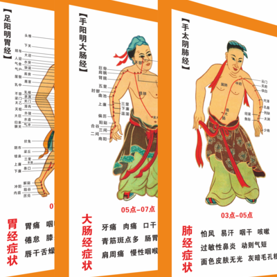 12经络图（12经络图走向图）