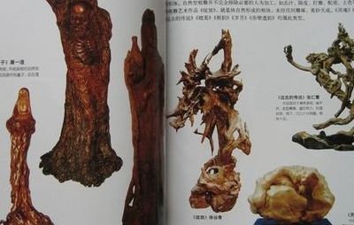 根雕制作技法（根雕制作技法书多少钱一本）
