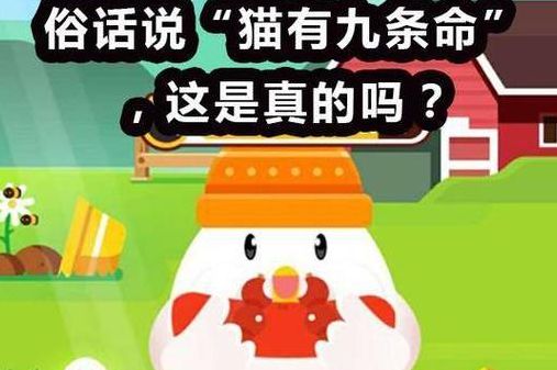 猫有九条命真的吗蚂蚁庄园（有俗语说“猫有九条命”这是真的吗?）