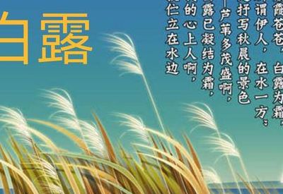 白露有什么好的寓意（白露表示什么寓意着什么的到来）