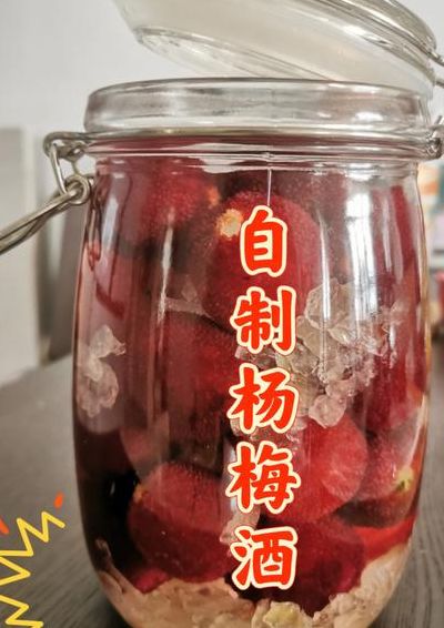 杨梅酒怎么泡制作方法（杨梅酒怎么泡制用什么酒更好喝）