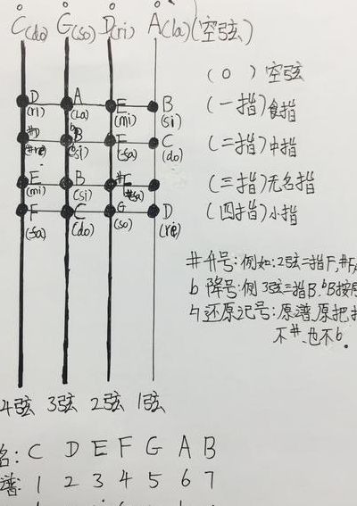 大提琴有几根弦（大提琴几根弦都是什么音）