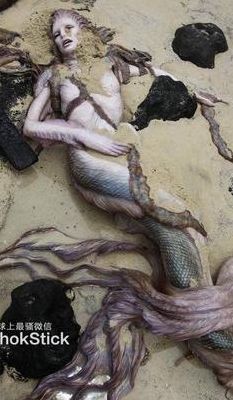 美人鱼实际是什么生物（美人鱼实际是什么生物现象）