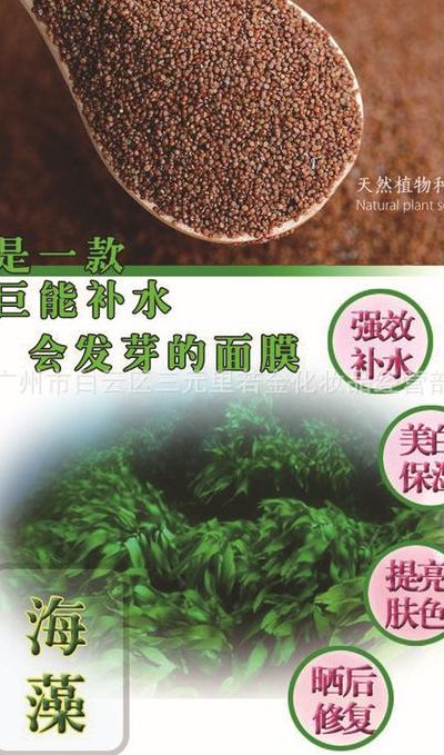 海藻面膜的作用（海藻面膜的功效）