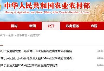 湖南禽流感最新消息（湖南禽流感最新消息2021）