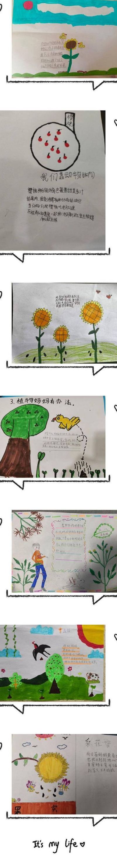 柳树妈妈传播种子仿写（柳树妈妈传播种子的方法是什么）