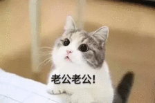 卖萌表情包下载（卖萌表情图）