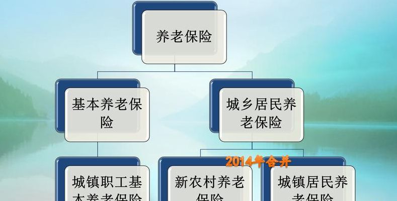 社会养老保险的种类（社会 养老保险的种类）