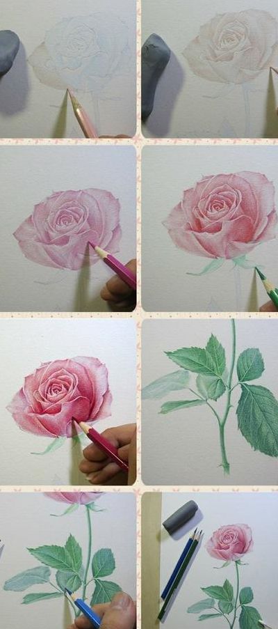 彩色铅笔画（彩色铅笔画玫瑰花）