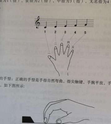 电子琴指法练习（电子琴指法基本功）
