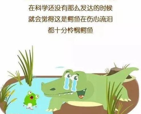 鳄鱼的眼泪是什么意思（鳄鱼的眼泪其实是指什么样的人）