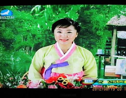 延边卫视（延边卫视是中国的吗）