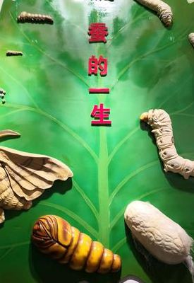 春蚕象征什么（春蚕象征什么精神品质的人）