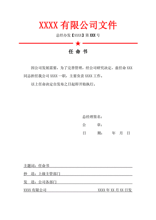 任命书的格式（任命书格式范文合集）