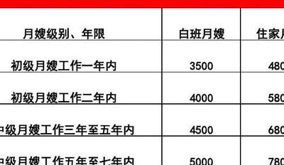 月嫂的价格（月嫂的价格一览表深圳）