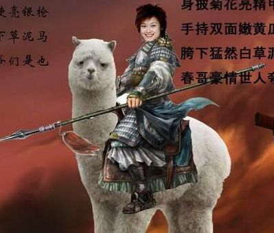 春哥本纪（史记·春哥本纪）