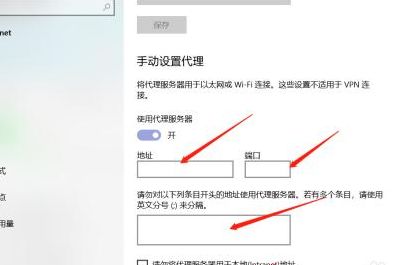 用代理服务器上网（代理服务器使用教程）