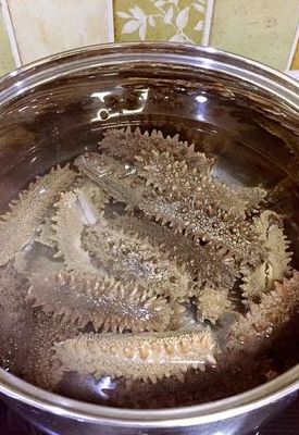 干海参的家常做法（干海参的家常做法简单）