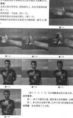 李小龙的寸拳（李小龙的寸拳视频分解动作加图片）