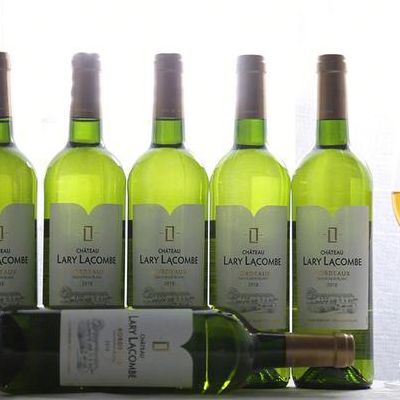 白葡萄酒（白葡萄酒种类）