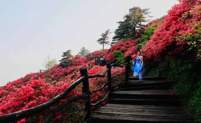 春季旅游好去处（春季春游好去处）