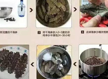 干海参的发法（干海参的发法视频教程）