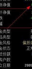 个人基金查询（个人基金查询网213002）