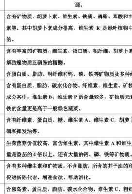 蔬菜主要向人们提供什么营养（蔬菜主要为人体提供什么营养）