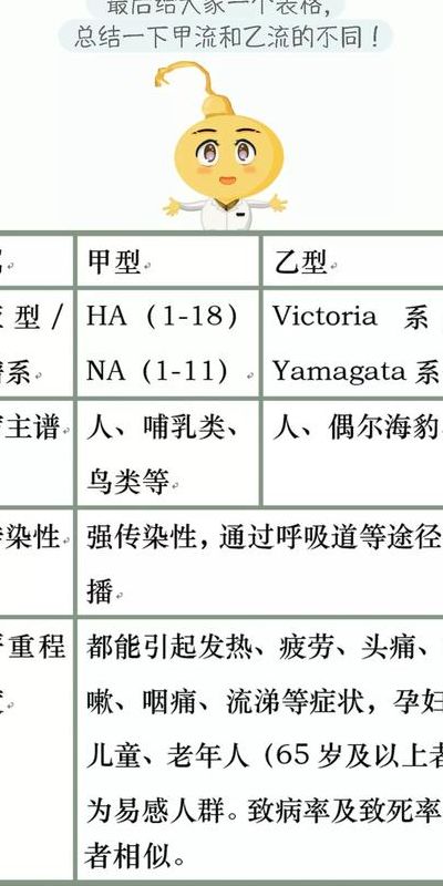 乙流是什么病（乙流和甲流有什么区别）