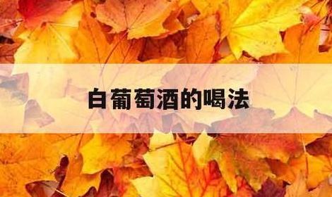 白葡萄酒怎么喝（白葡萄酒怎么喝是正确的）