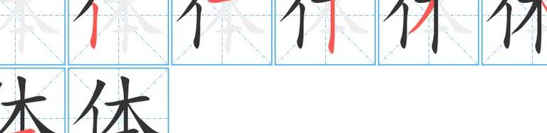 体的笔顺（体的笔顺正确写法）