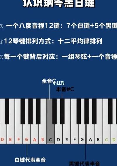 钢琴黑白键宽度一样吗（钢琴的黑白键宽度有什么区别）