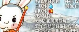 洛克王国宠物大全（洛克王国宠物大全呱呱）