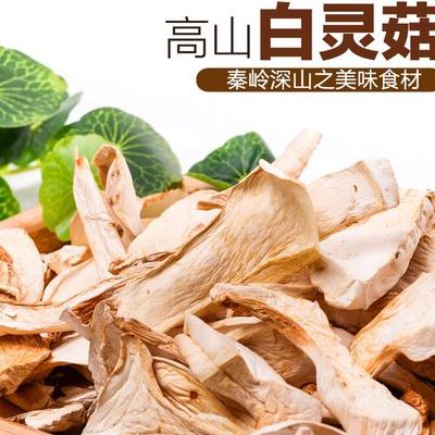白灵菇价格（白灵菇价格批发价格行情）