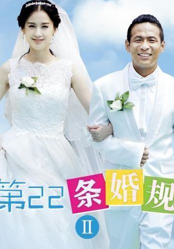 婚姻第二十二条规则（婚姻第22条的电视剧）