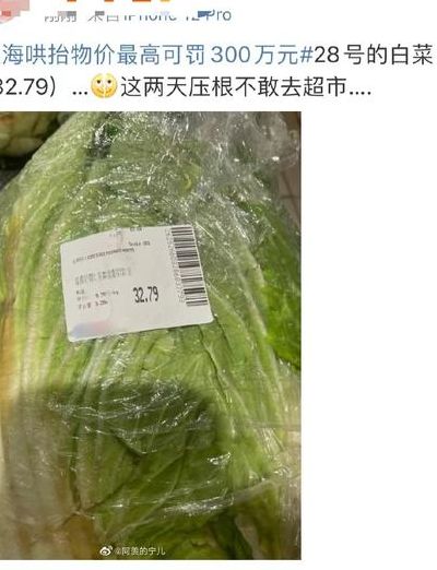上海再现天价大白菜（上海再现天价大白菜视频）