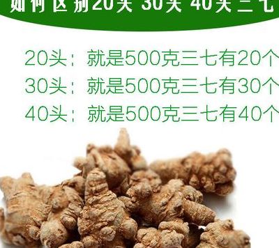 云南文山三七（云南文山三七粉的功效）