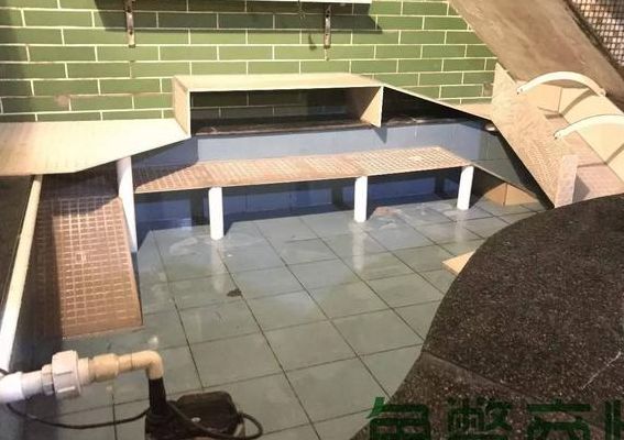 金钱龟养殖（金钱龟养殖池如何设计）