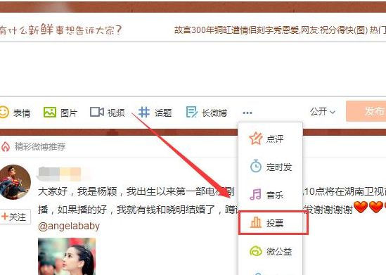 投票作弊软件（投票作弊的认证方式）