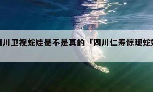 四川蛇娃（四川蛇娃新闻是真的吗?）