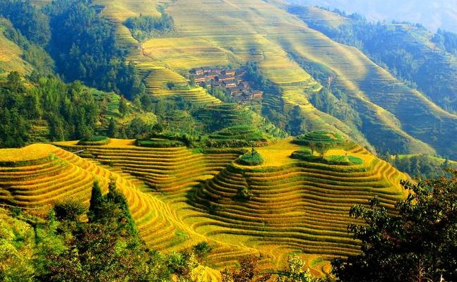 龙胜梯田旅游攻略（龙胜梯田最佳旅游时间）