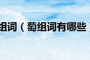 萄组词2个词（萄组词俩字）