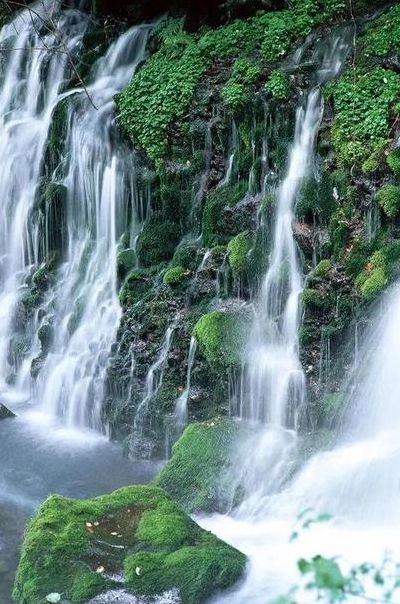 高山流水打一生肖（高山流水打一生肖,跳动百科）