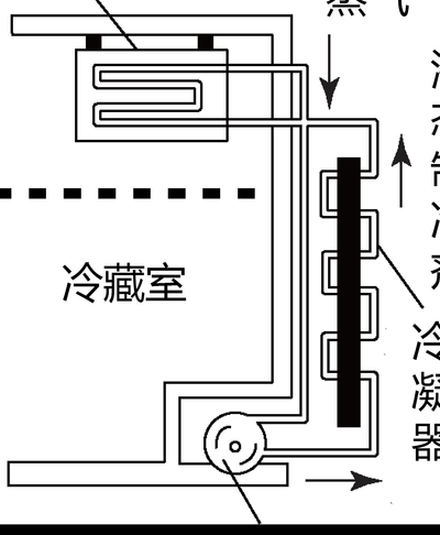电冰箱的工作原理（电冰箱的工作原理是什么初中所学的）