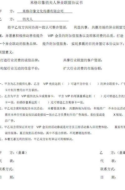 异业联盟方案（异业联盟方案书）