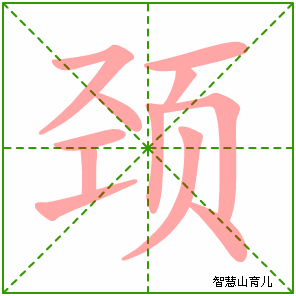 颈的拼音和组词（颈的拼音和组词怎么写）