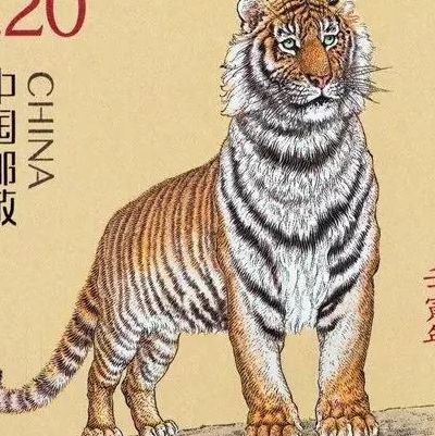 虎年是壬寅年吗（兔年是癸卯年吗）
