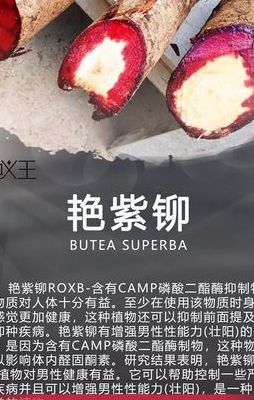 艳紫铆的功效与作用（艳紫铆的功效与作用真的假的）