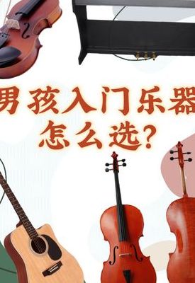 男生自乐器（男生自学乐器）